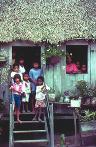 Amazon family
