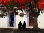 Peaceful, sunny afternoon with lovers under a tree in Oaxaca, Mexico.