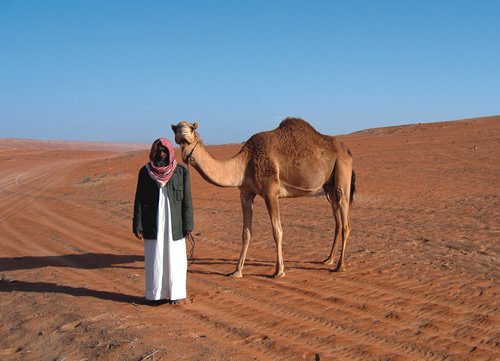 camel_crossing_in_oman_desert.jpg