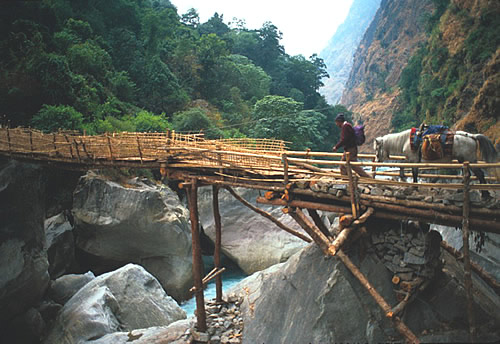 Man and horse crossing a bamboo bridge in Nepal.