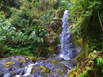 A small Costa Rican waterfall.