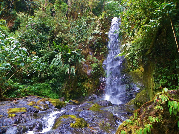 Landscape in Costa Rica.