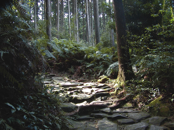 Magose Pass Road, Owase-shi on Kumano hike in Japan