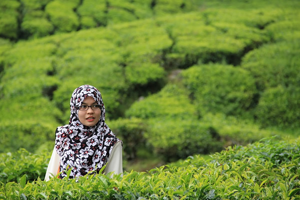 Woman in tea field in Malaysia.