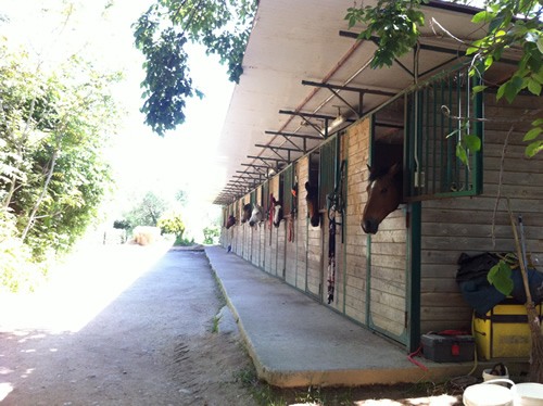 The horse stables at Umbrian vineyard.
