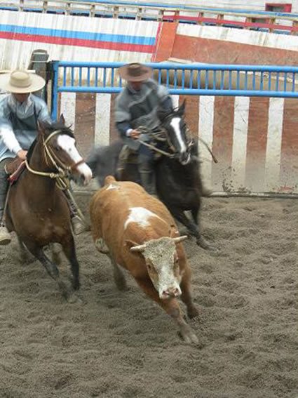 A rodeo in Chile.