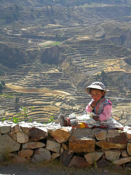 A child in Chile sitting on a rock fence on with terraced land.