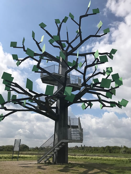 Outdoor artwork: A steel tree.