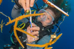 Summer Study in Marine Science with Broadreach