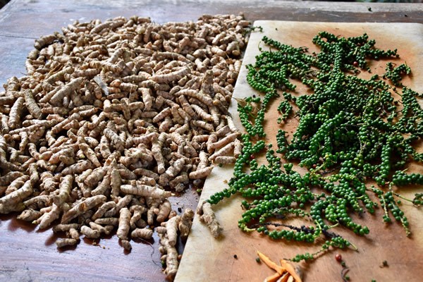 Turmeric and peppers