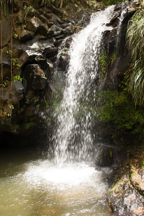 Annandale falls in Grenada.