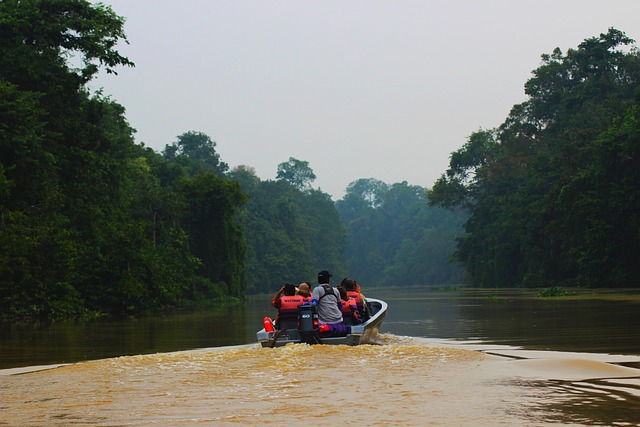travel and tourism jobs abroad Rainforest Guide Tour and Hospitality Jobs
