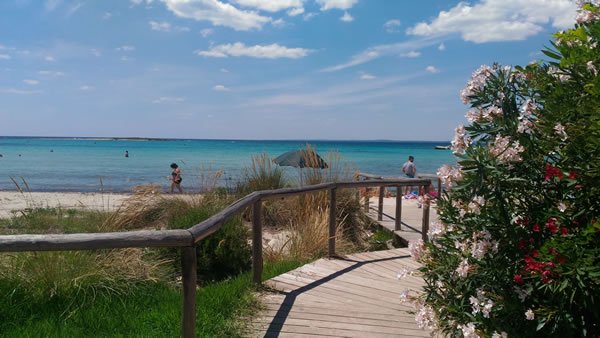  Sant’Isidoro Beach in Nardò (Lecce), Puglia