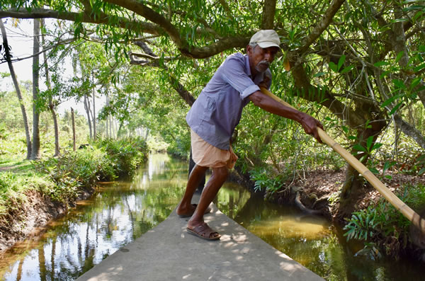 Longboat oarsman in Kerala's backwaters