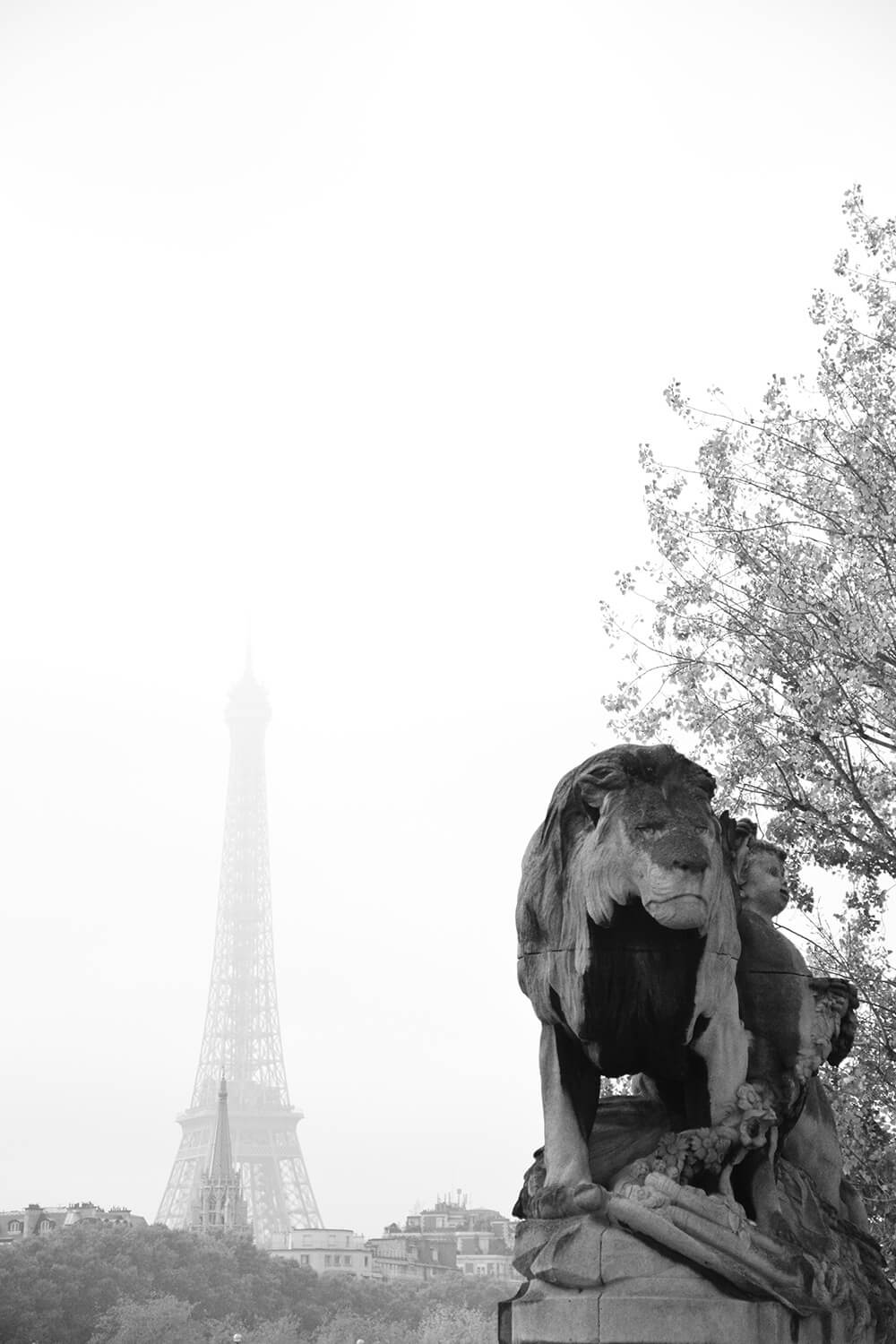 A view of the iconic Eiffel Tower is just one of endless sites in Paris