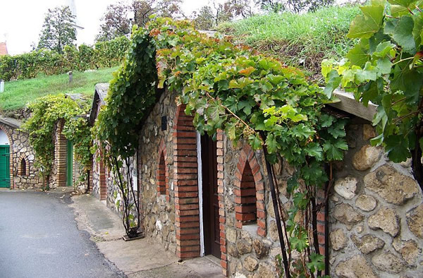 Moravia wine cellars in the Czech Republic.