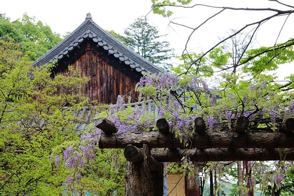 A temple in the woods of South Korea.