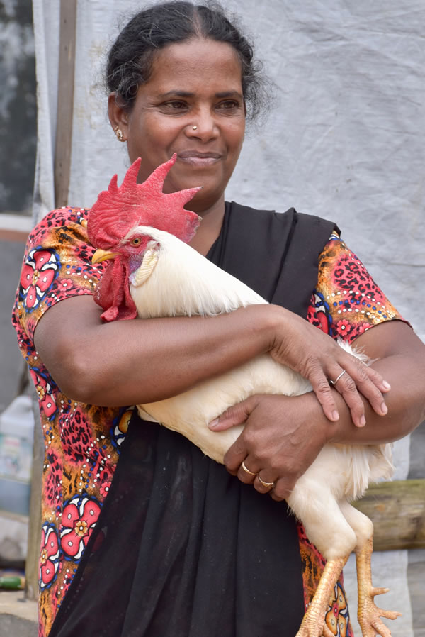 Our hostess in Galle