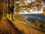 Living in Bavaria, Germany