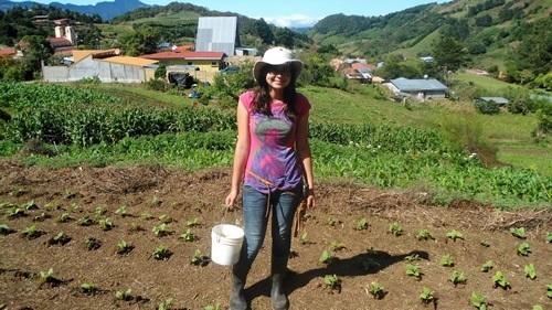 Students work abroad on farms in Costa Rica