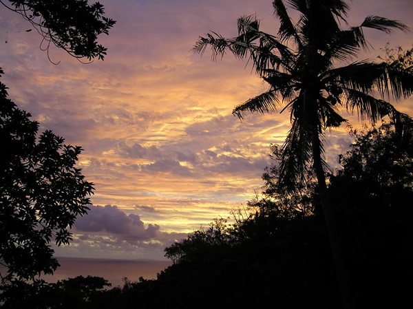 Fiji at dusk from trees looking out at the Pacific Ocean.