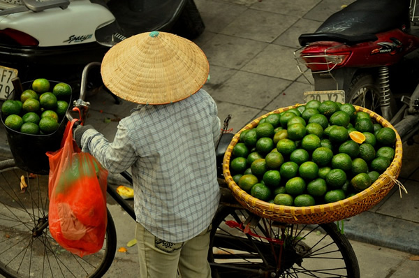 Woman selling oranges from her bike in Hanoi, Vietnam
