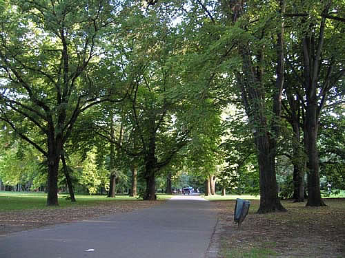 The greenery of Margaret Island in Budapest
