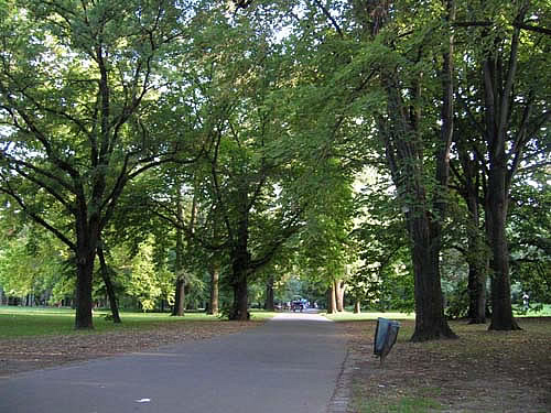 The greenery of Margaret Island in Budapest.