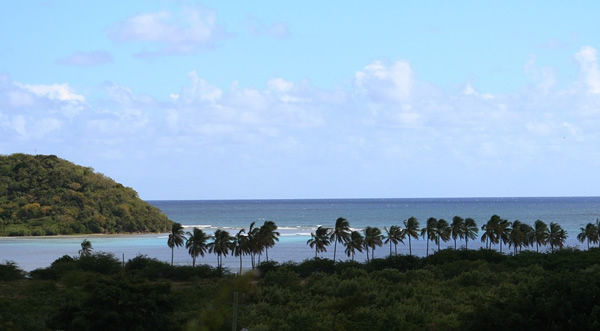 A beach view in Antigua.