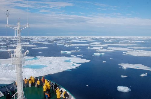 Icebergs in Greenland.