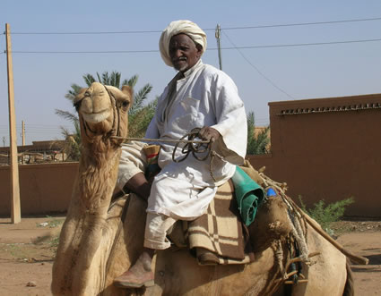 Camel Driver in Sudan.