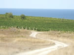 Travels in Bulgaria on dirt road.