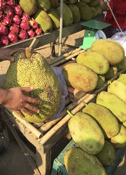 Holding jackfruit in Cambodia