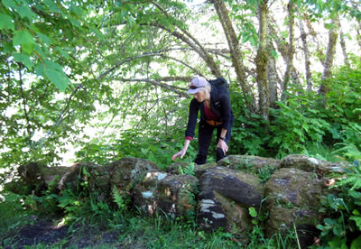 Totem-sized poles carved and painted by the native people.