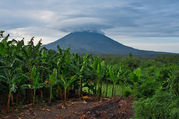 Lush Isla de Ometepe, Nicaragua, with volcano in background.