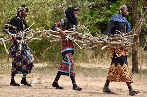 Girls fetching wood for the evening campfires.