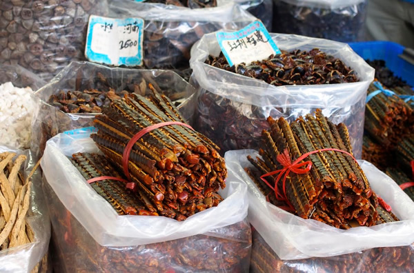 Wu Gong (centipedes) and Zhang Lang (cockcroaches) at the Chinese medicine market
