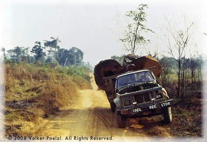 Deforestation along the Amazon.