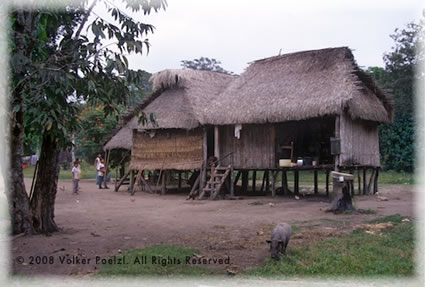 Settlment along Amazon River.