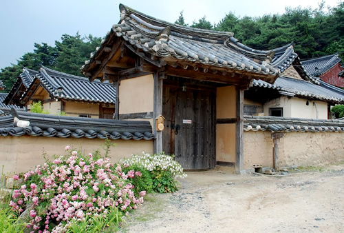 Honoks in South Korea.