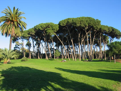 Gianicolo Park Rome Picnic