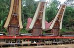 Solo travel in Tana Toraja Indonesia.