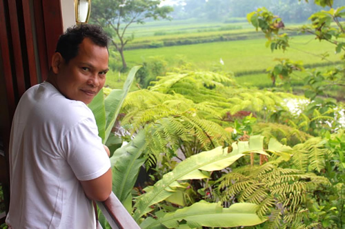 View on the rice paddies from a Bed and Breakfast.