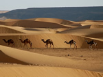 Travel Mauritania