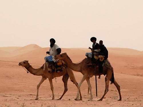 4WD Wheel in sand in Mauritania