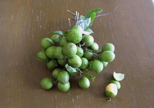 Guayas fruit are popular in Mexico.