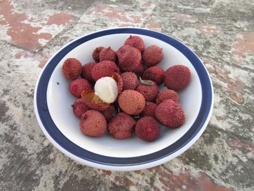 Lychees