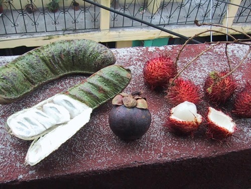 Mangosteen fruit.