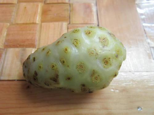 Noni fruit.