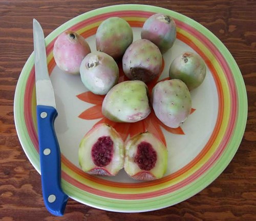 Xoconostle fruit on a plate.